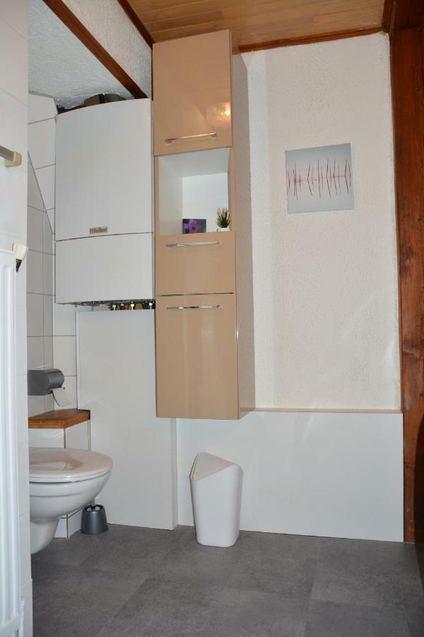 Le Cerf Apartman Colmar Kültér fotó